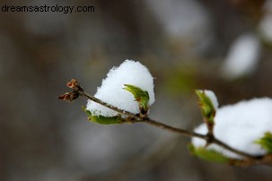 Laatste dagen van de winter 