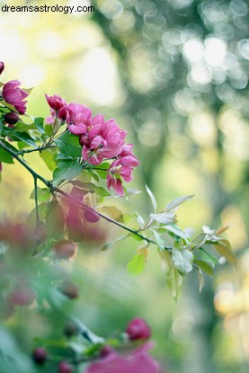 Elementos da Primavera subindo 22.3.2015 