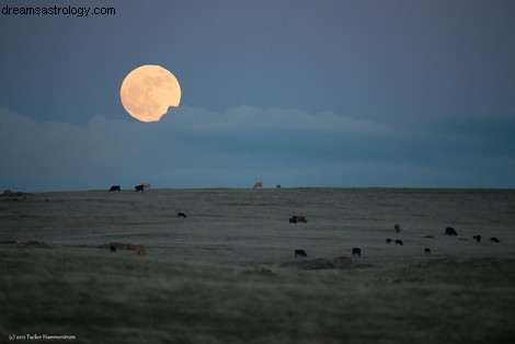 Horóscopo Luna Llena Tauro Temporada 