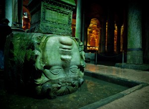 Pavoučí kousnutí a stálice 