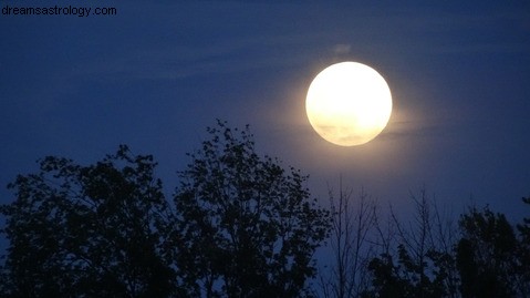 Un incontro sotto la luna piena 