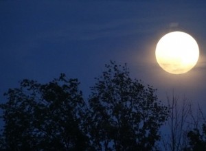Un incontro sotto la luna piena 