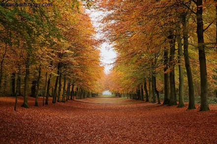 Herbstmond im letzten Viertel 