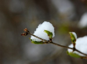 Übersicht Mars/Pluto und Sonntag 