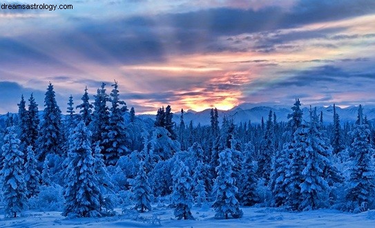 Het gebed van de winterzonnewende 