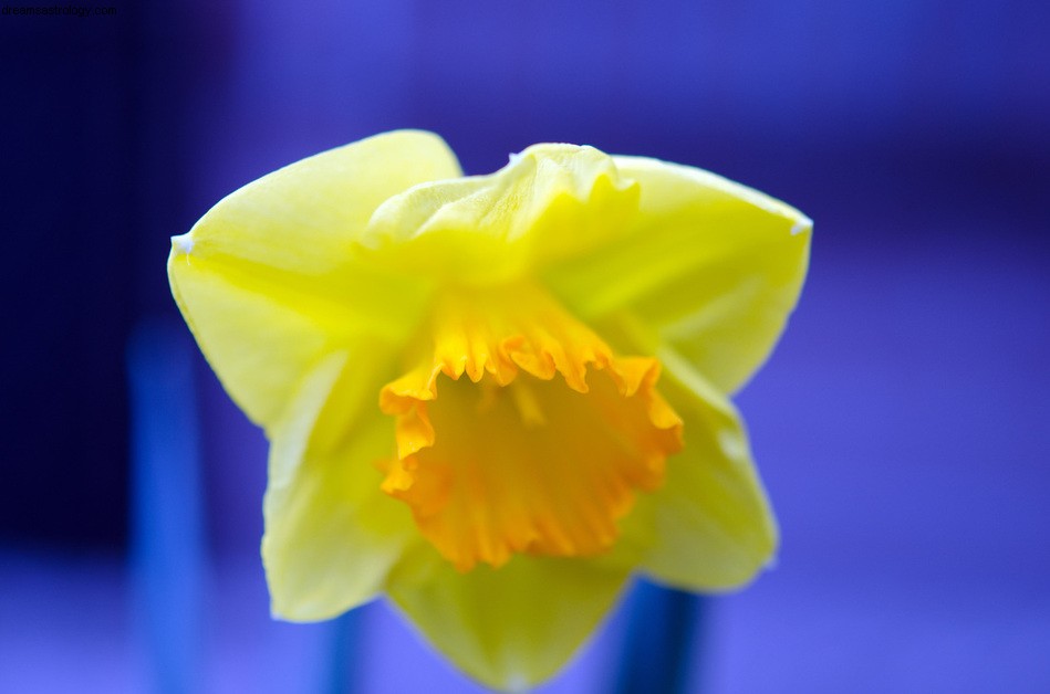 Ein Frühlings-Tagundnachtgleiche-Gebet 