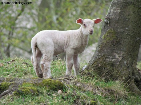 Joyeux équinoxe de printemps ! 