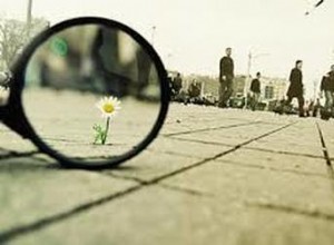 Ricordando il piccolo 