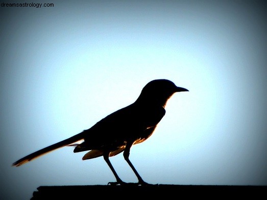 Mercure et un oiseau trop haut ? 