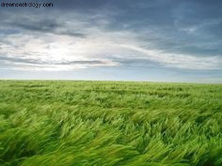 Un buen viento fuerte 