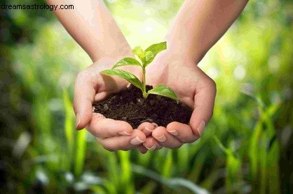 Zrównoważone rolnictwo uczciwości 