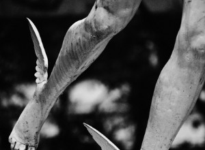 Mercury Retrograde denne uge! 