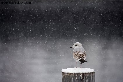 Imagens da Lua e Mercúrio 