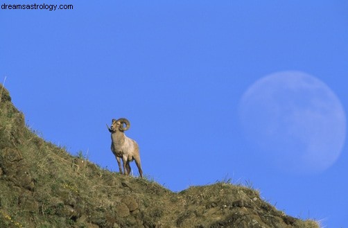 Luna crescente guadagna potere in Ariete 