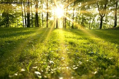 De boodschappers van de lente! 