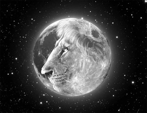 Maan in de leeuw 