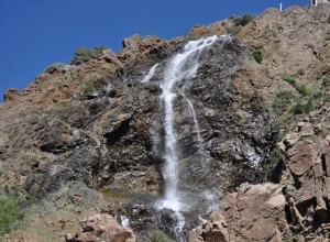 Sol/Marte Cazimi e Inexperiência Juvenil 