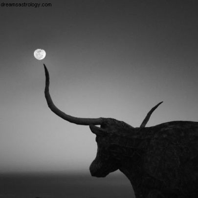 Volle maan in Stier 