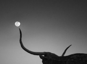 Luna Llena en Tauro 