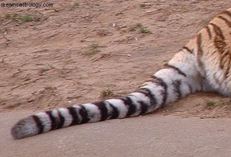 Passer devant le tigre 