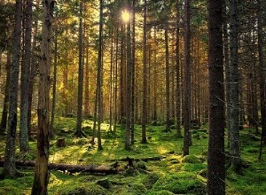 Aanraking van de natuur 
