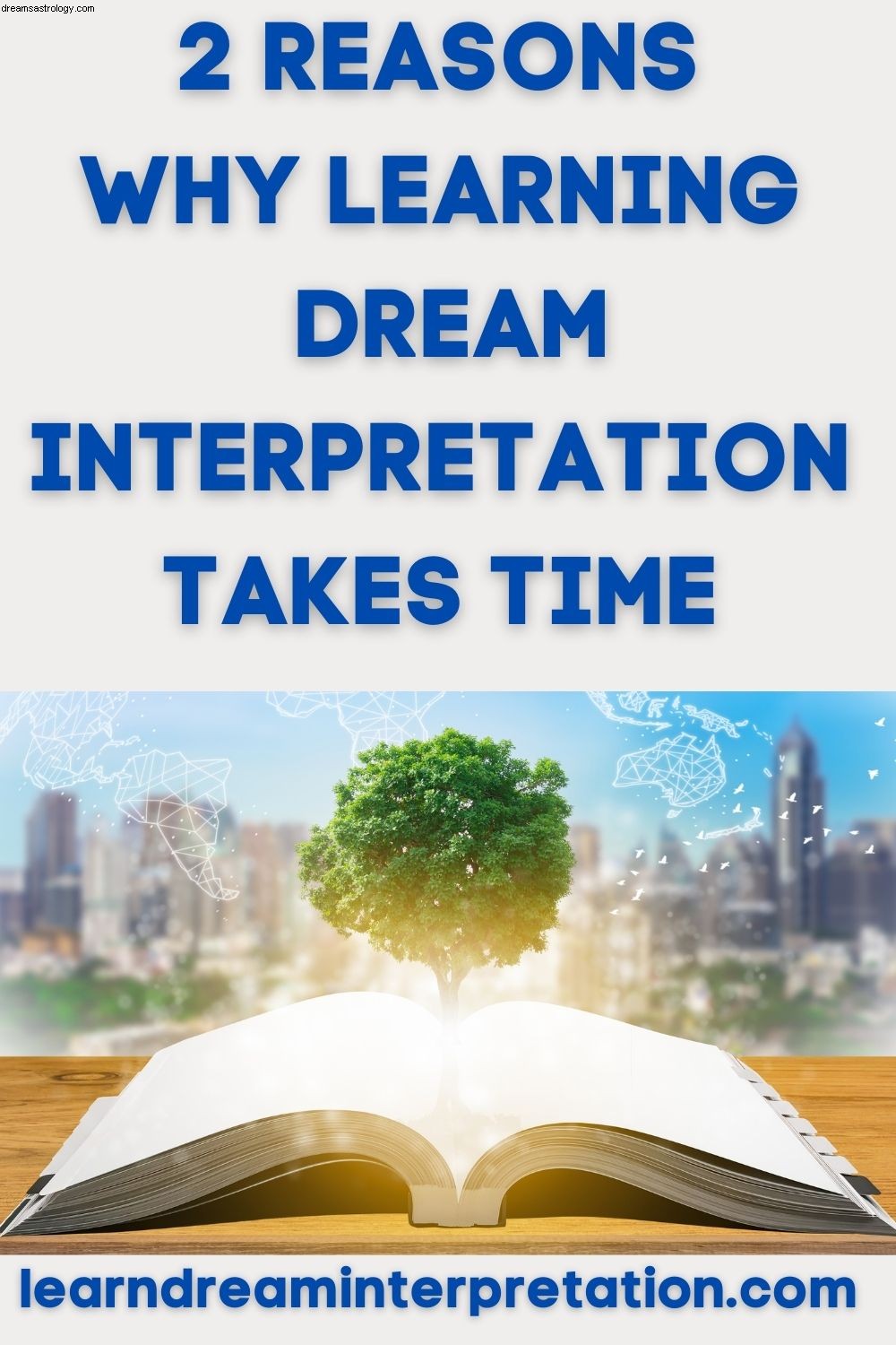 Aprender la interpretación de los sueños lleva tiempo 