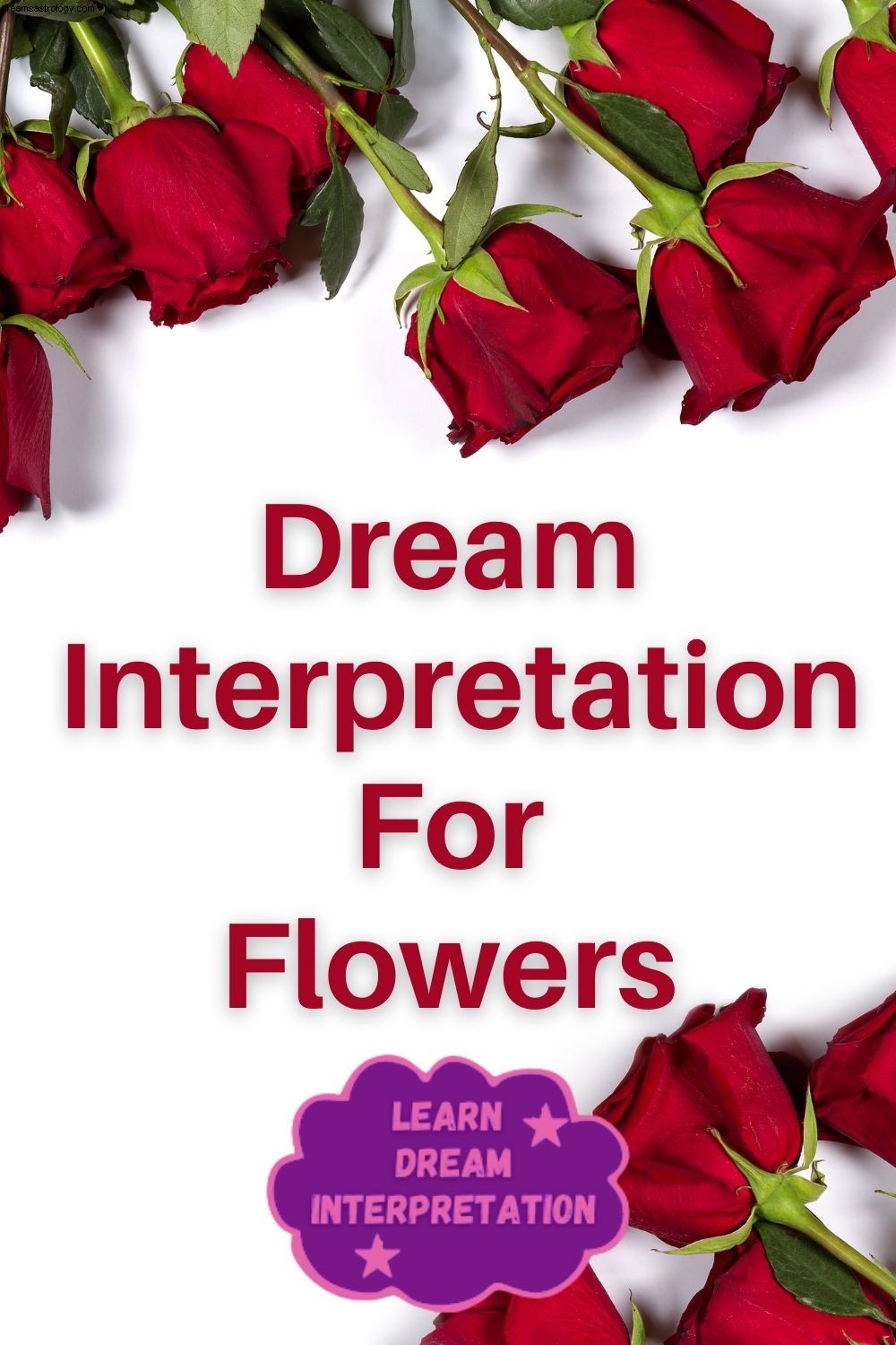 Significados de soñar con flores 