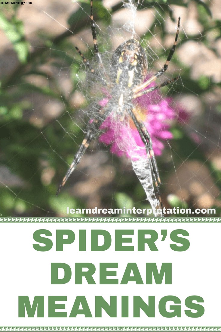 Ονειρεύομαι αράχνες 