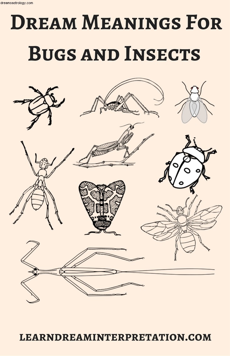 虫や昆虫の夢の意味 