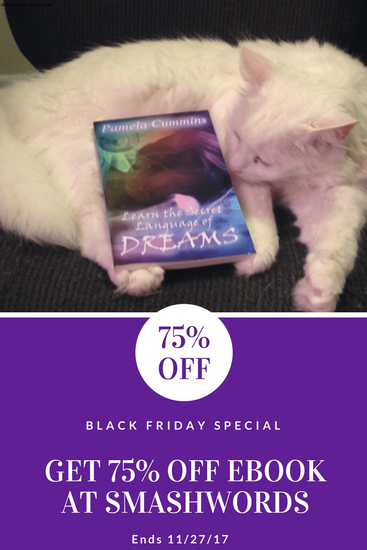 „Lernen Sie die geheime Sprache der Träume“ Black Friday Sale 