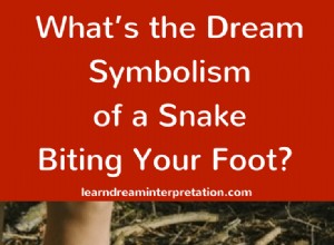 Soñar con Ser Mordido por una Serpiente 