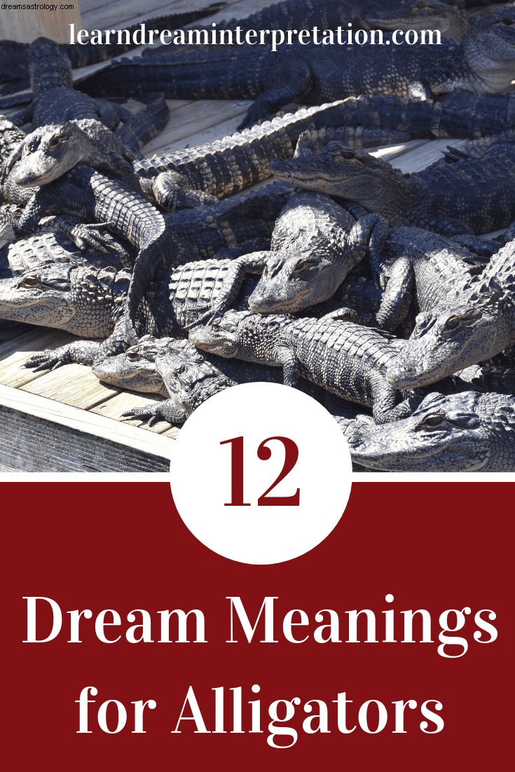 Significados de soñar con caimán 