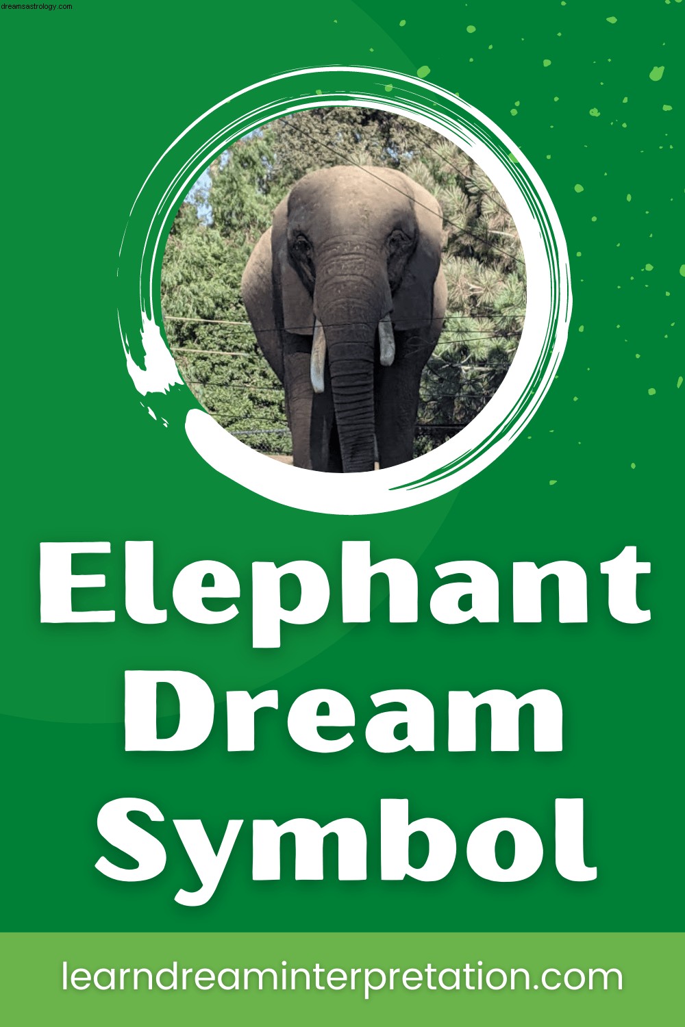 Έννοιες του ονείρου ελέφαντα 