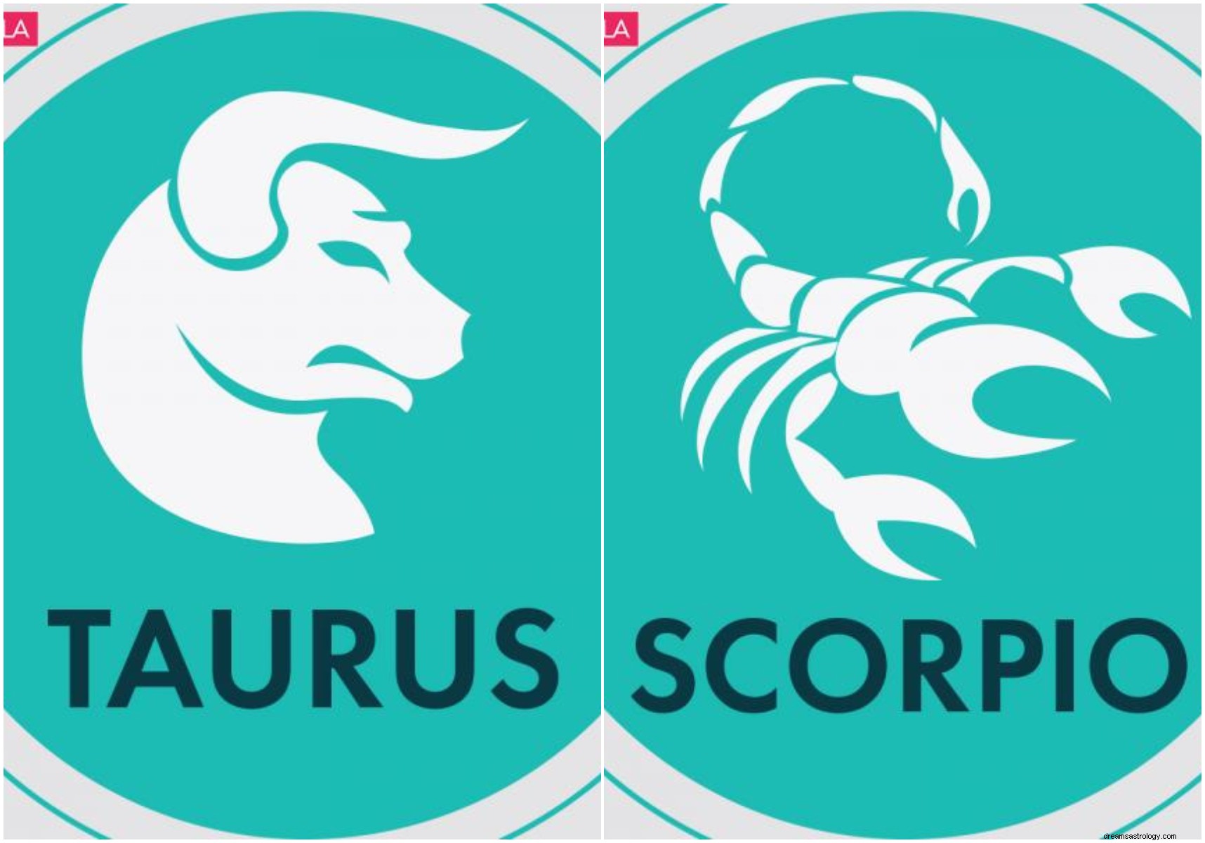 Aquarius, Gemini, Virgo, Leo:Lawan ini menarik berdasarkan tanda zodiak mereka 