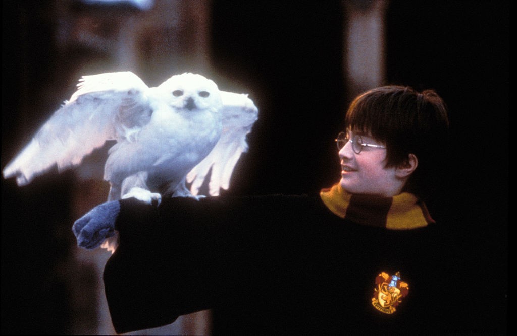 8 karakter Harry Potter yang mewakili ciri kepribadian Gemini 