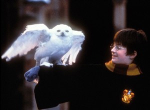 8 personajes de Harry Potter que representan los rasgos de personalidad de Géminis 