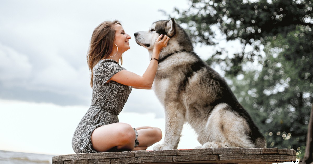 5 signos do zodíaco que são amantes dos animais e que acreditam firmemente em escolher animais em vez de pessoas 