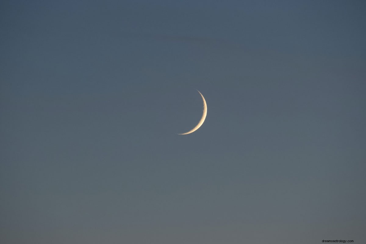 La Luna Nueva de Febrero en Acuario es el momento de renovar tus propósitos para el 2022 