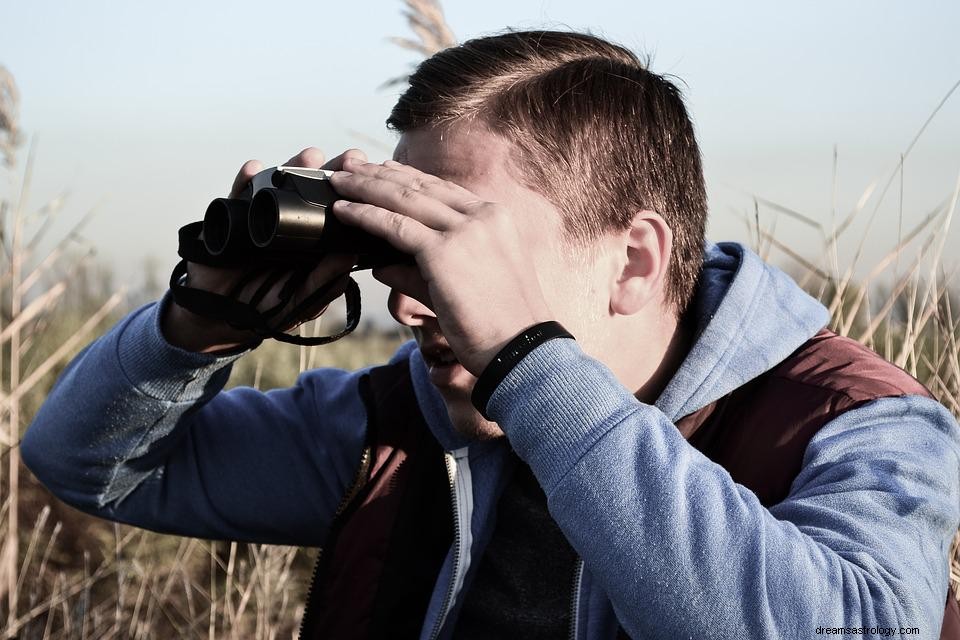 Betekenis van Spion in een droom 