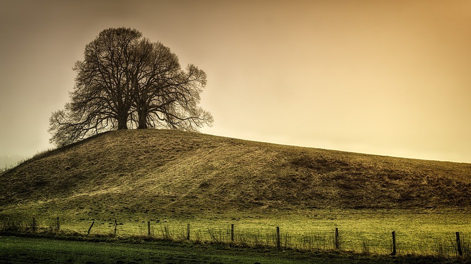 Hill – Traumbedeutung und Symbolik 