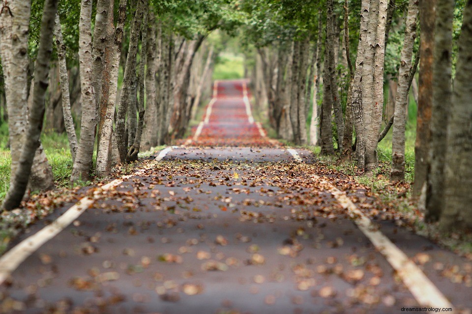 Que signifie rêver d une ruelle ? 