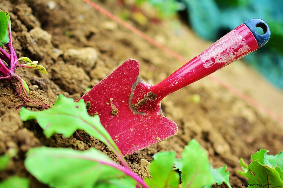 Sonhar com Jardineiro – Significado e Explicação 