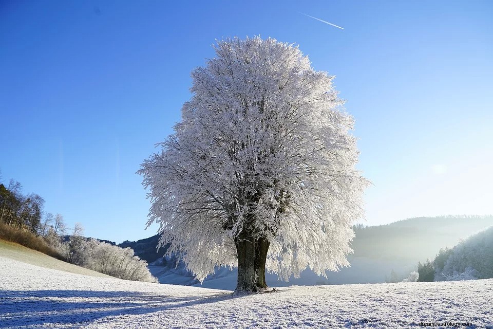 ¿Qué significa soñar con blanco? 