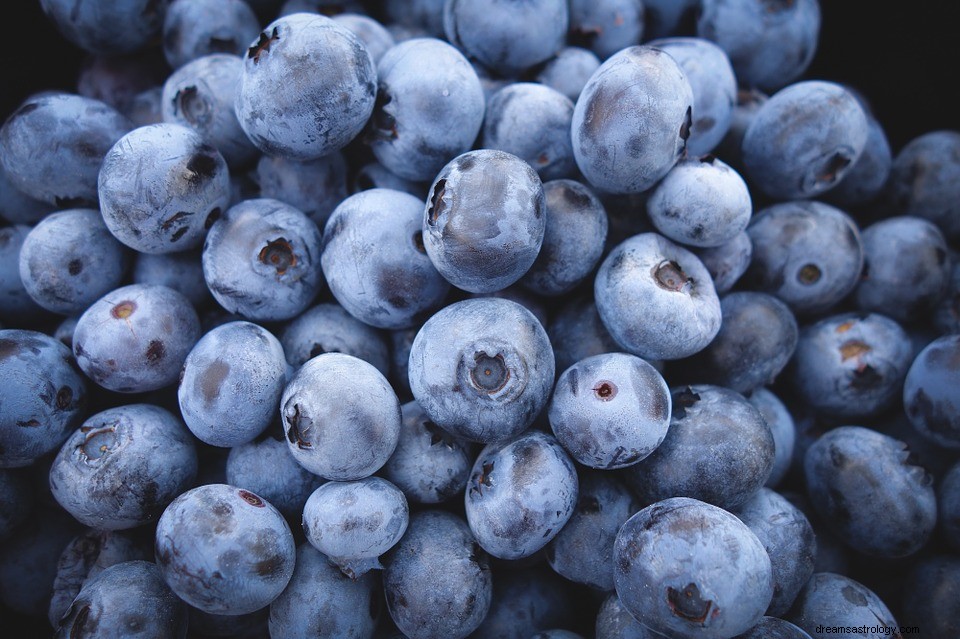 Blueberry – Arti Mimpi dan Tafsirnya 
