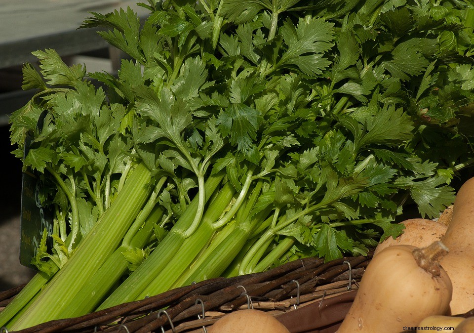 Celer – smysl a symbolika snu 