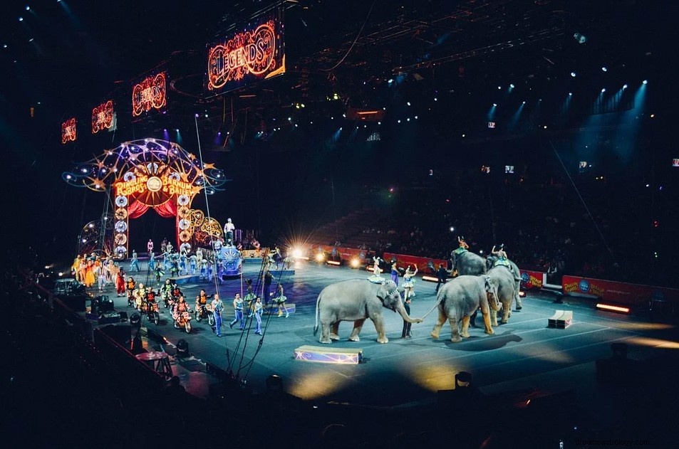 Sirkus – drømmebetydning og symbolikk 