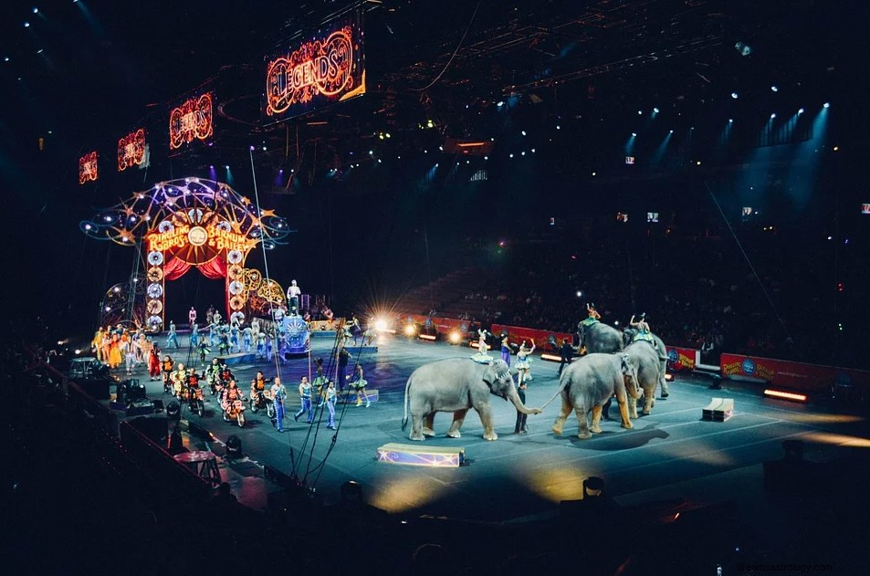 Cirkus – drömmening och symbolik 