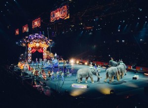 Zirkus – Bedeutung und Symbolik von Träumen 