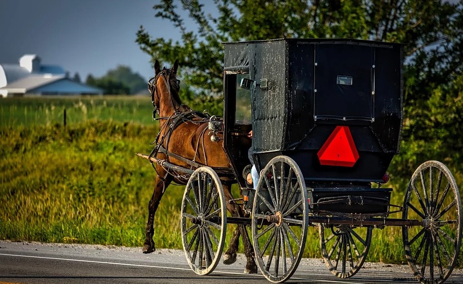 Carriage – Όνειρο Νόημα και Συμβολισμός 