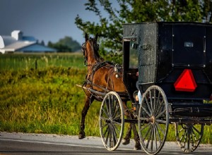 Transport - Signification et symbolisme des rêves 